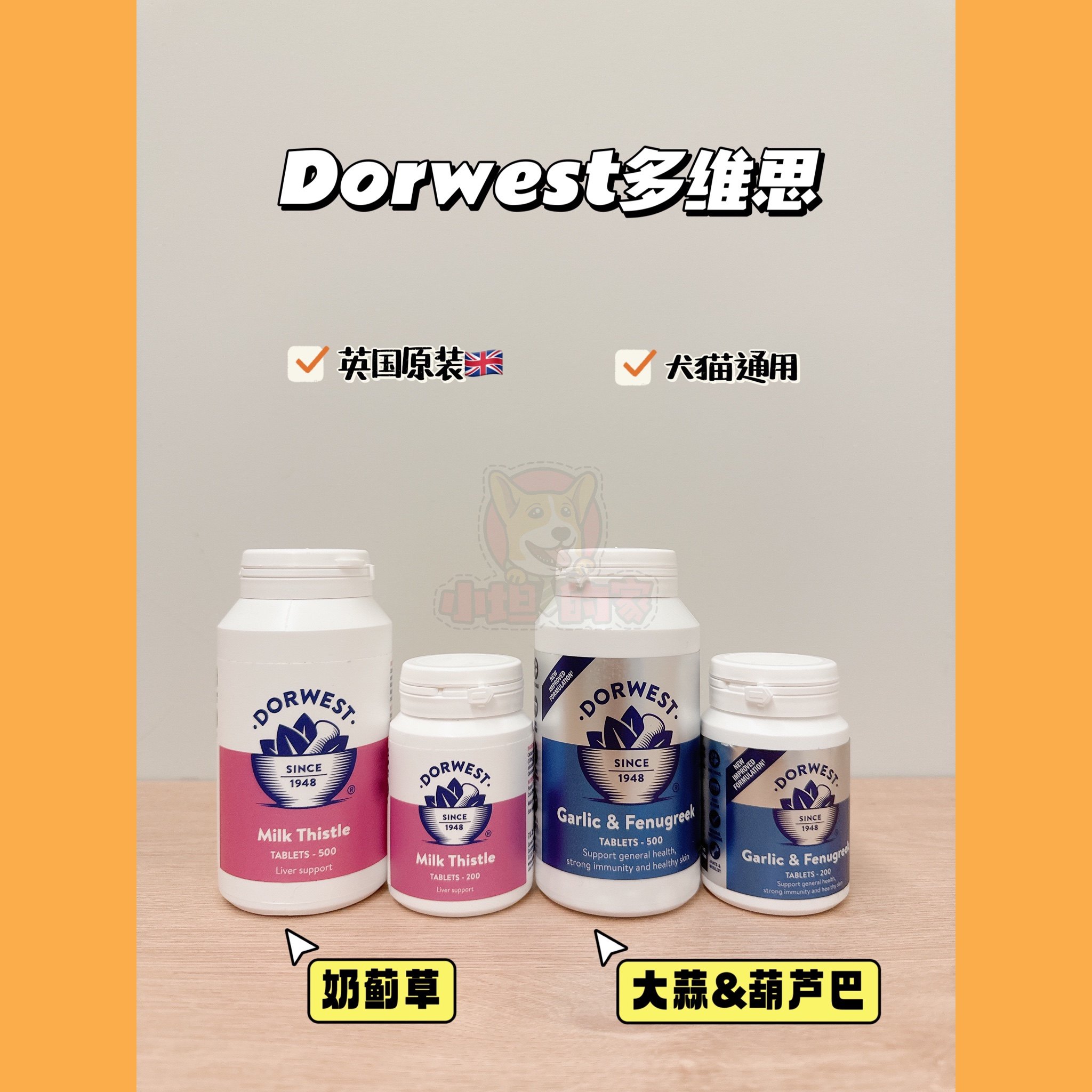 Spot Dorwest Milk thistle, UK, Galic Care Liver Pill, Dorwest Liver Immune Health