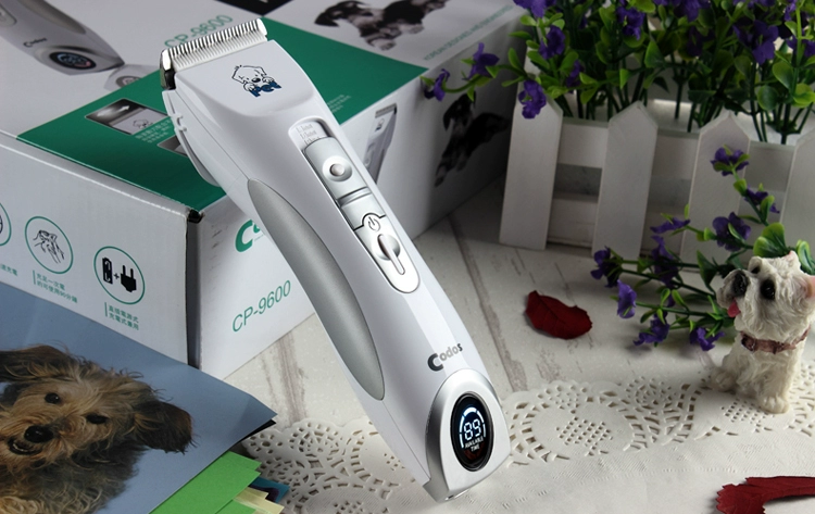 Codesh CP9600 pet clipper lông máy cạo râu điện mèo máy cắt lông chó clipper - Cat / Dog Beauty & Cleaning Supplies lược chải lông cho chó