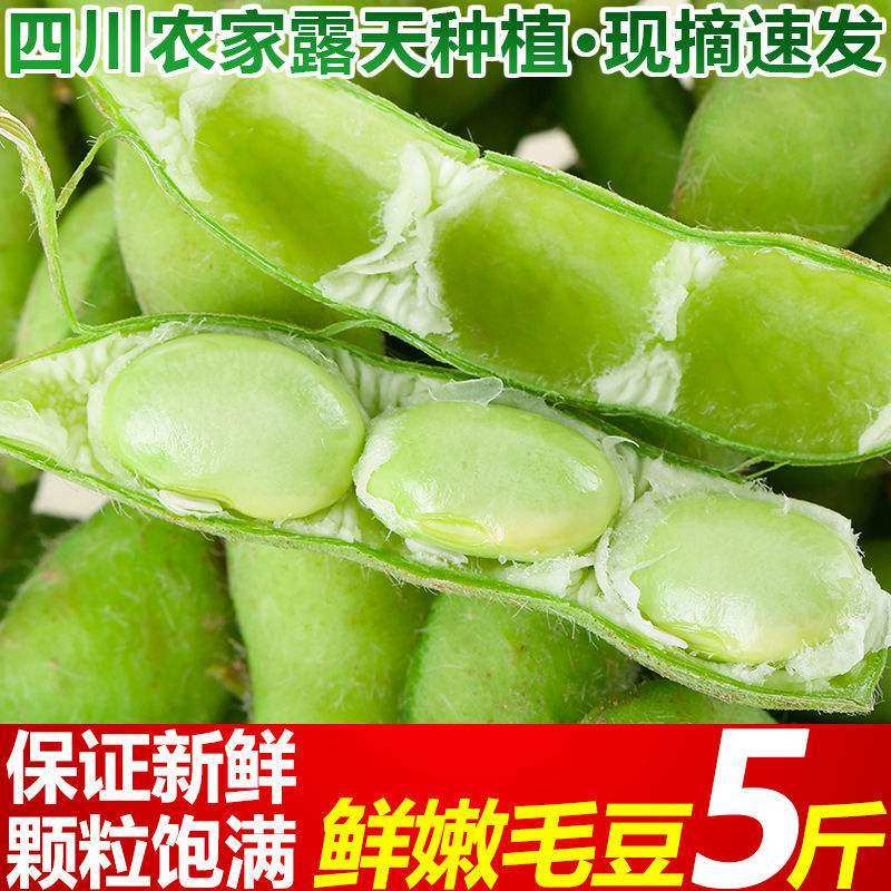 Now remove fresh mulled beans 5 catty of tender bean corner to make vegetables green beans Soybean Green Bean Pods Pod bean Pea Pod 3 kilos