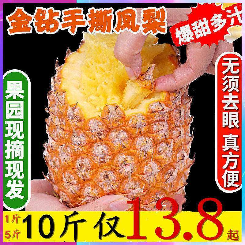 (10 haggi special price) now remove gold drill pineapple when season fresh pregnant woman fruit without eye pineapple non-pineapple fruit 5