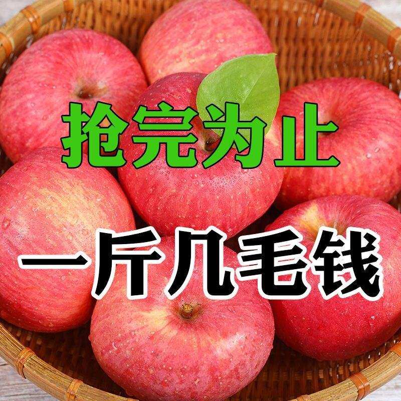Red Foxapple Apple Fruit 10 Catty Fresh When Season Shaanxi Ice Sugar Heart Season Ugly and Crisp Fruit Crisp Sweet 5 catties