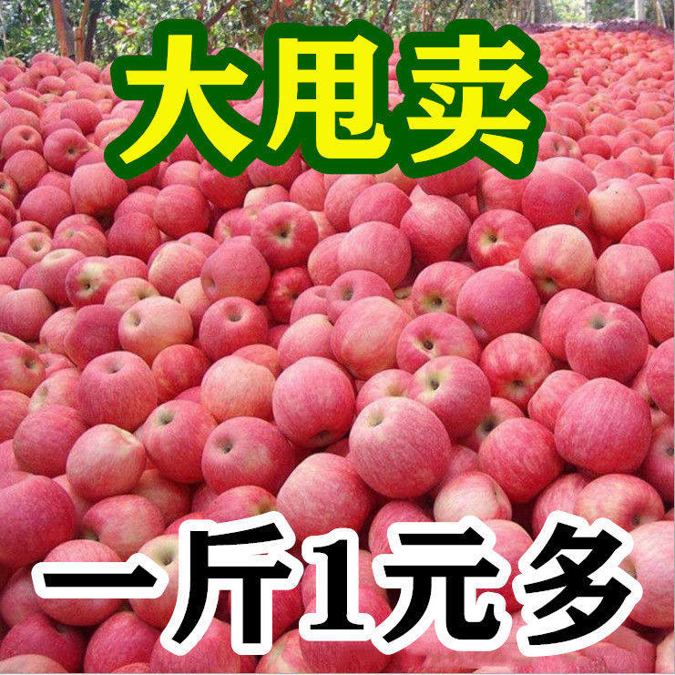 Red Foxapple Apple 10 Catty Pregnant Woman Fruit Fresh Crisp Sweet Ice Candy Heart Ugly Fruits 5 Big Ping Fruit Whole Box Batch 3