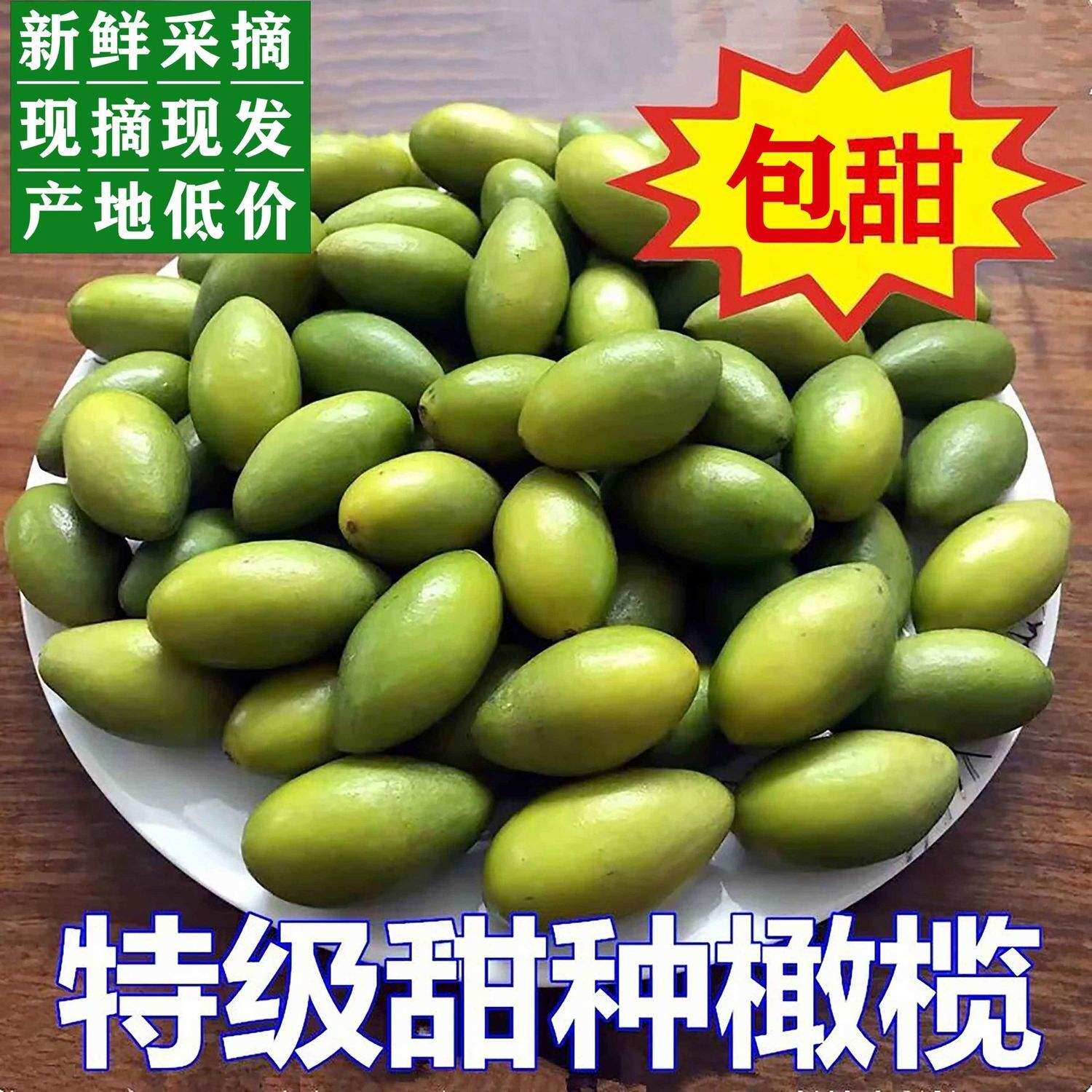 Green olive fruit 2 kilos eaten crisp and sweet without scum tegana raw olive tasty with a bubbly wine multi-barn 5