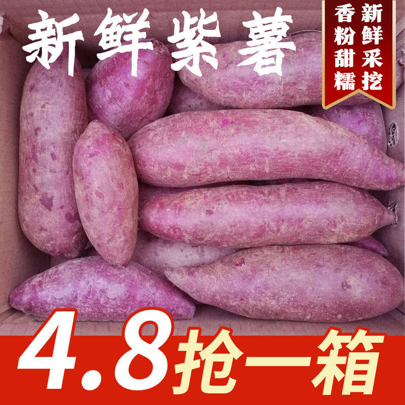 Fresh sand purple potato 10 catties powder glutinous sweet violet batch sweet potato sweet potato sweet potato sweet potato vegetable 5 catties 3
