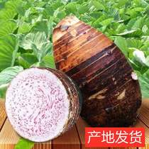 Fresh artichokes 10 kilos of betel nut taro Taro Vegetables Pink Glutinous and sweet 5 catty Potato Head Farmhouse Straight Hair 3 catties