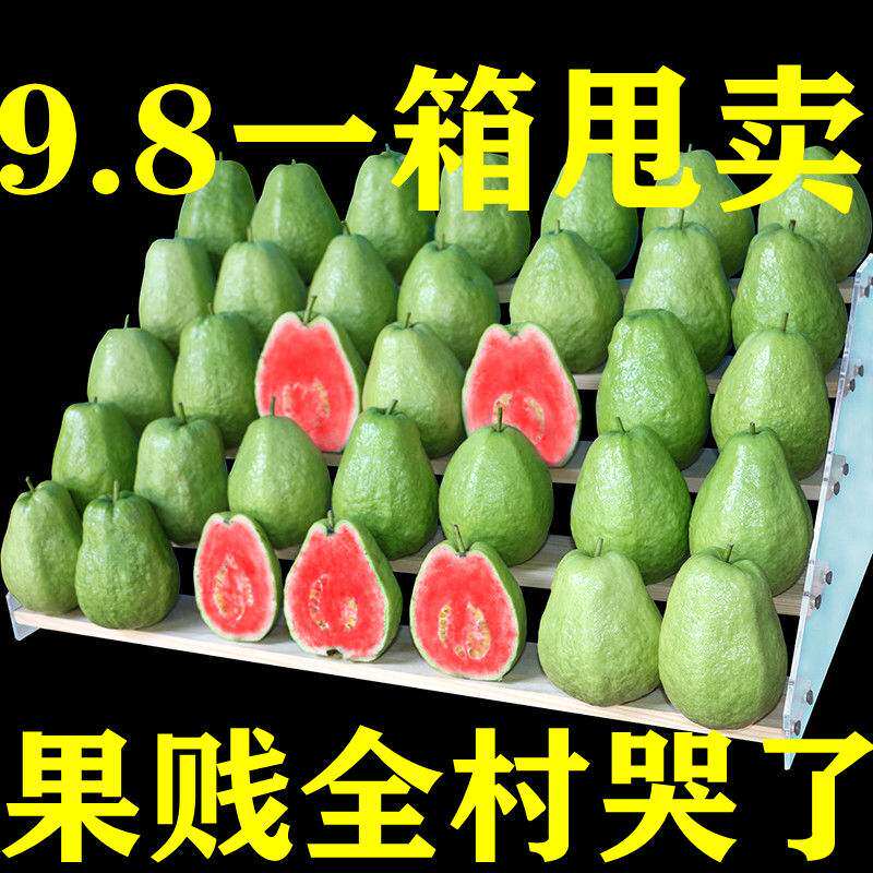 (3 Cati) Red Hearts Ballet Guava Pregnant Women Fruits Should Season Soft Glutinous sweet and sweet whole box 10 now remove the hair 5