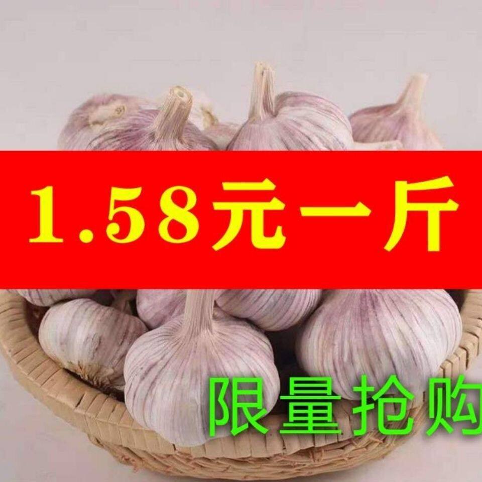 Dry garlic head 10 catty of fresh garlic Purple White Peel Non-Sole Garlic Chill Garlic Seed Farmers 5 Bad Pack Odds
