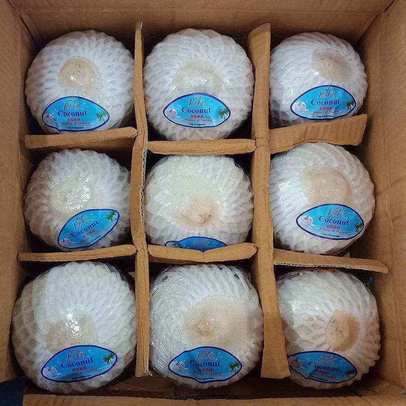 Authentic Fresh Coconut Milk 6 Loaded Jelly Coconut Milk for the season pregnant women Clear Sweet Fresh Fruits Now Off