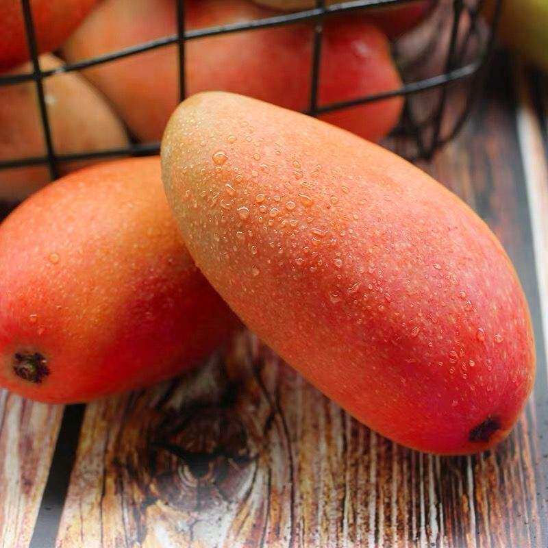 Hainan Hongjin Longgui Princess mango with box 10 catty of fresh pregnant woman Fruit 5 When the whole box is now off the hair 3