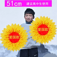 На солнечной энергии, 51см