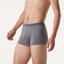 (Autumn and winter 2021) daily leisure 40s cotton pull frame City front mens underwear fk1b5