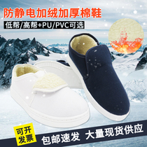 Anti-static cotton shoes winter thickened warm electronic workshop work shoes Mens and womens dust-free shoes Velvet blue electrostatic shoes