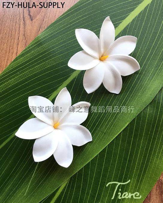 Hawaiian hula accessories head flower Tiare headdress beach hair accessories set Hair Accessories