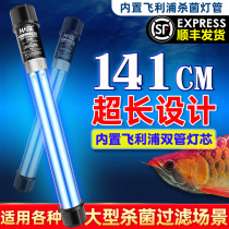 Philips Wick UV Uv Germicidal Lamp Fish Pool Diving Type Sterilization Light Fish Tank Blue Algae Removal lamp disinfection light