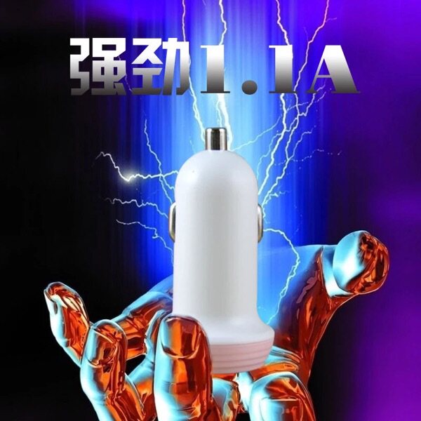 chargeur 1A - Ref 1295101 Image 6