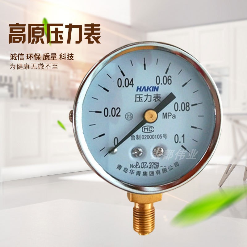 Cooking trailer plateau pressure gauge high temperature and shock resistant stainless steel staple food pot pressure gauge