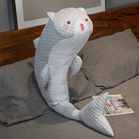 Серая акула