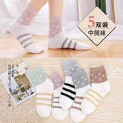 Phiên bản hàn quốc của tất nữ cotton mùa thu đông dày 100% cotton ống thông thường vớ cao cấp hộp quà tặng 5 đôi