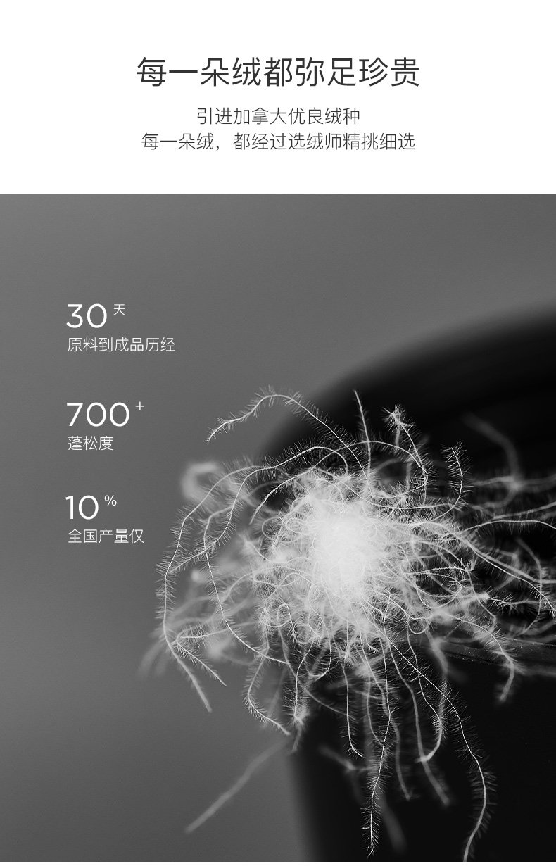 100-х годов Goose Down-new_12.jpg