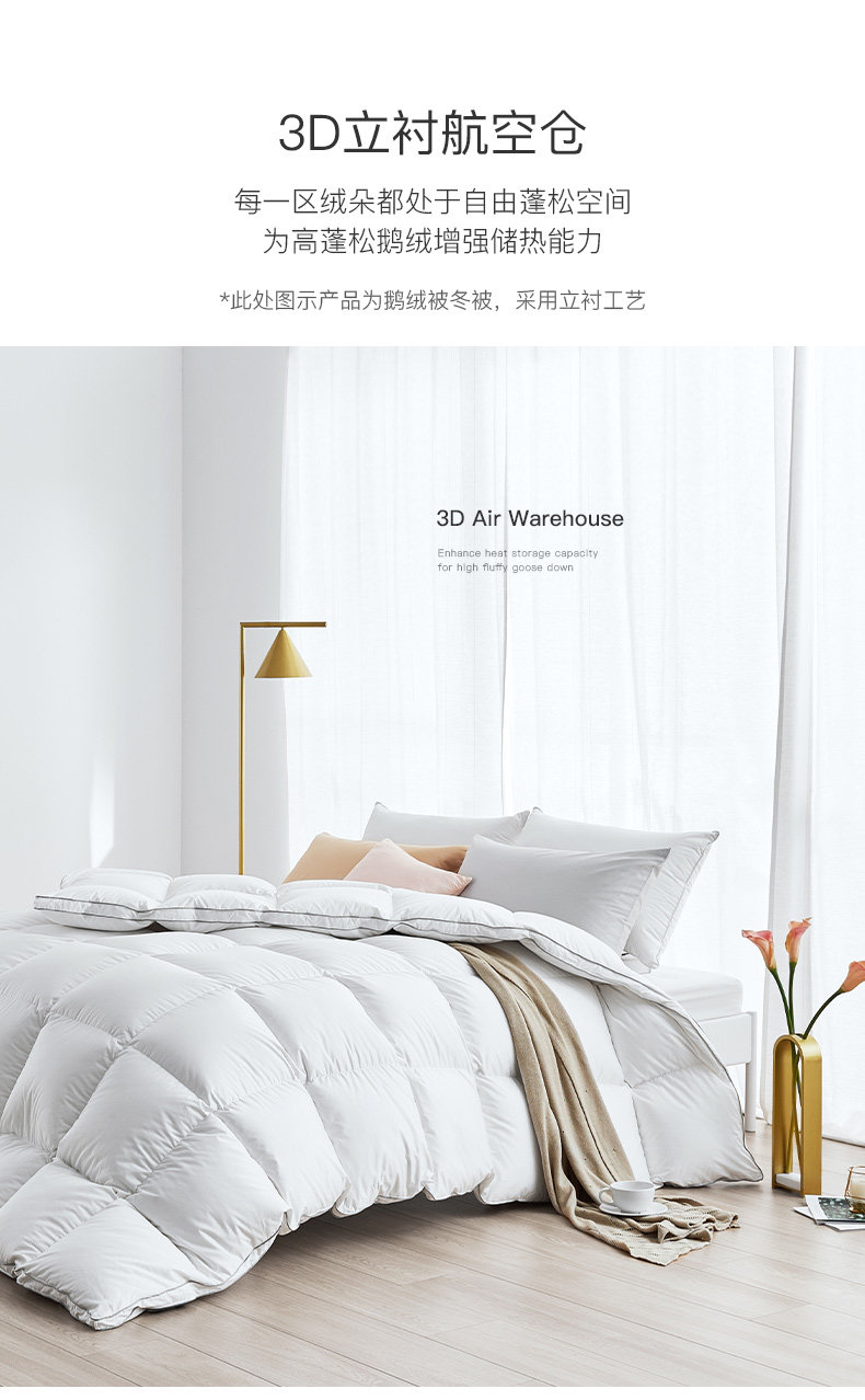 100-е госсовые гуся new _08.jpg