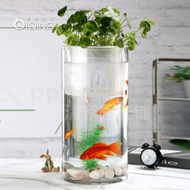 Large glass vase straight cylinder transparent special large number 60 cm large caliber water peels rich and expensive bamboo fish green plant white palm