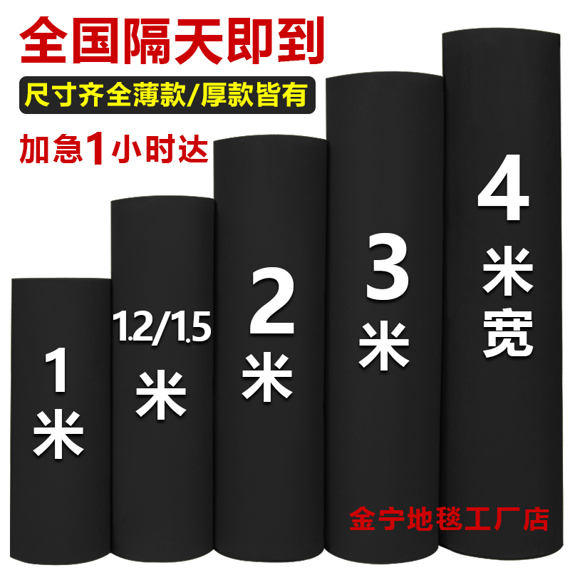 Black Carpet One-time Marriage Celebration Open Shop Exhibition on the door of the Shop Non-Slide Thickness Long-term Use of Engineering Blank