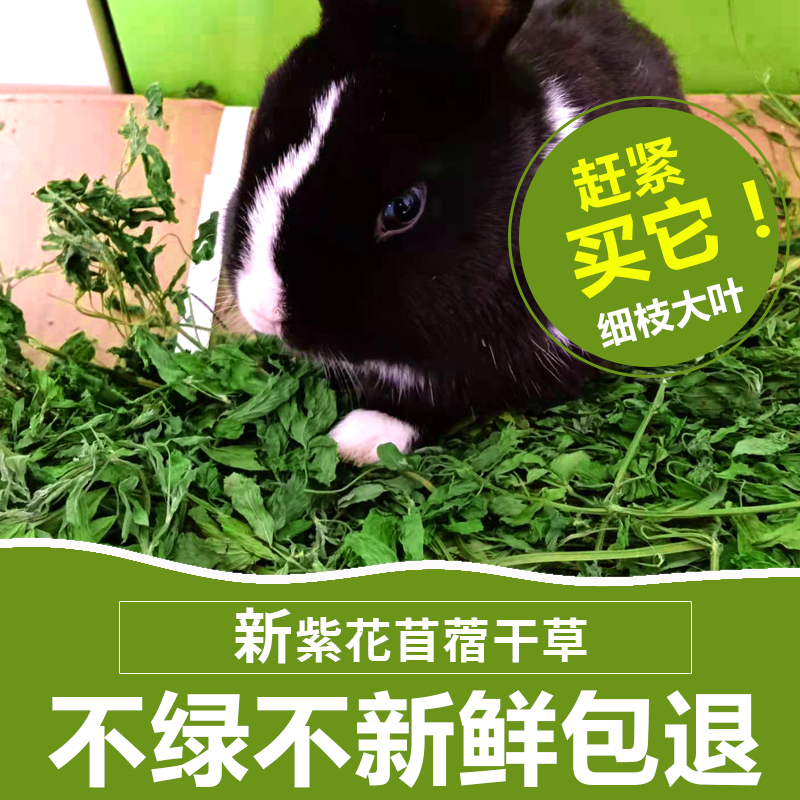 Alfalfa grass hay 21 years select dried rabbit totoro feed guinea pig grass hair weight 1kg rabbit food