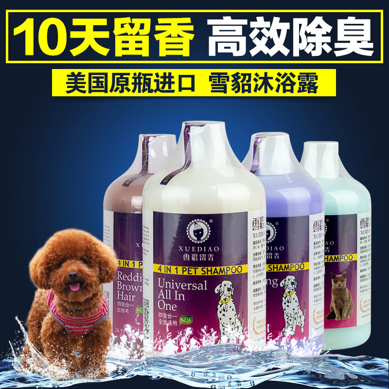 Ferrets Dogs Body Wash of Bath Dew of Fragrant Polarites Polarites Killing Mites Bacteria Snow Sculptures Than Bears gold Mao Teddy Fou Cat Bathing Supplies