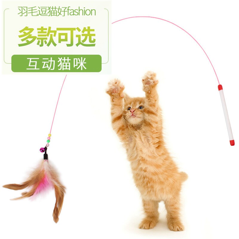 Cat Toy Teasing Cat Stick Long Wire Teasing Cat With Cat Rod Colorful Feather Bell Small Fish Teasing Cat Toy Pet Cat Supplies