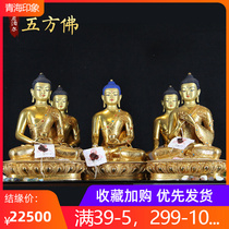 Tibetan Buddhism Five Flanders Buddhist Nepal Sakya Pure Bronze Buddha Statue of the Buddha Buddha Drug Master Buddhist 7 inches