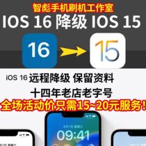 Apple iPhone13 12 11 XR X 8 flat ios16 remote retention information upgrade downgrade system 15