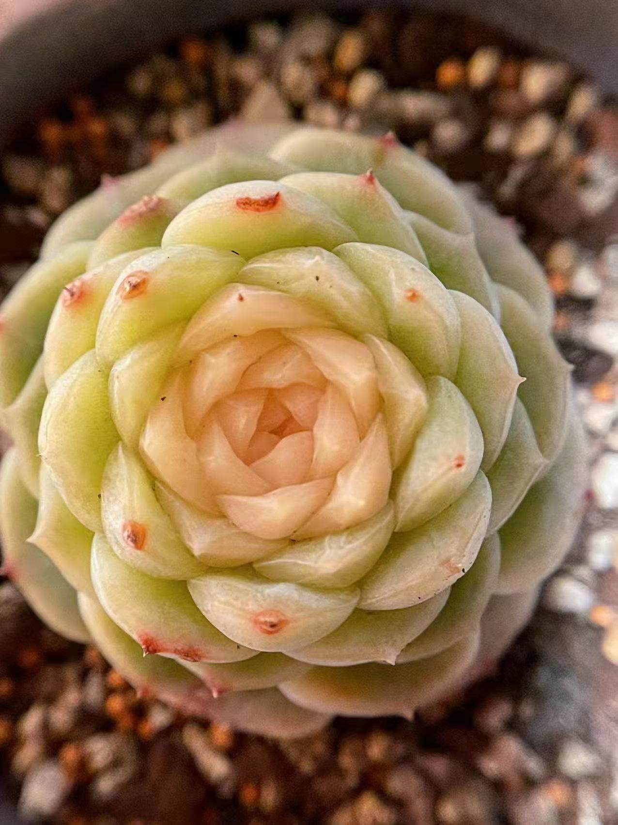 最后一页大作战！死活删不掉怎么办？!