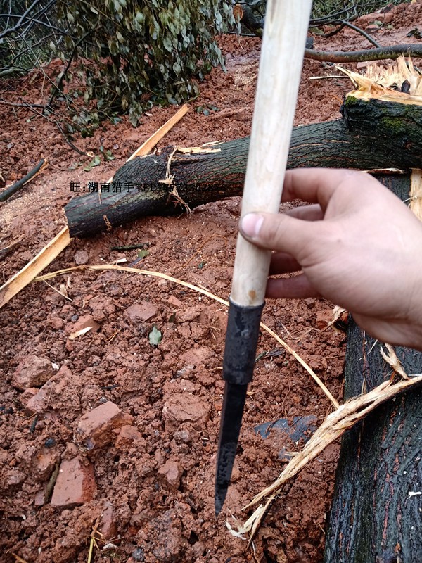 Bạn bè ngoài trời, cực leo núi, gậy, gậy phiêu lưu, một cột thép trekking rèn thép cao, bảo vệ rắn - Gậy / gậy gậy người già