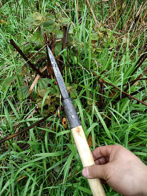 Bạn bè ngoài trời, cực leo núi, gậy, gậy phiêu lưu, một cột thép trekking rèn thép cao, bảo vệ rắn - Gậy / gậy gậy người già