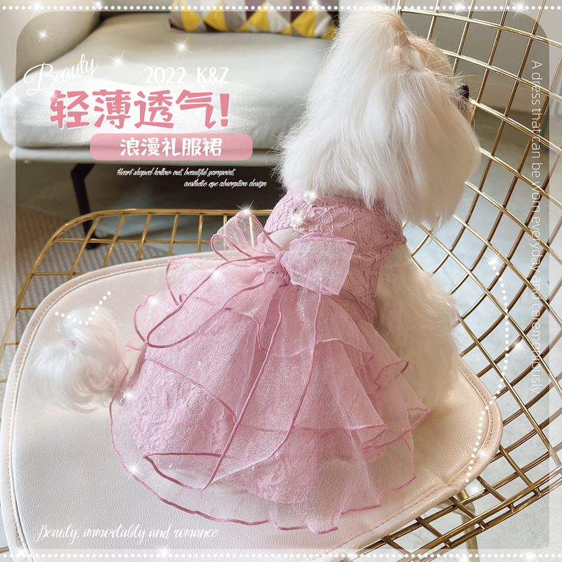 Kz Dress Is Back! Lightweight and Cool ~ Korean Dog Clothes for Bichon Frise, Small Dogs, and Teddy, Spring and Summer Wear