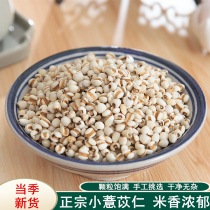  Chinese Herbal medicine New stock Premium coix seed Guizhou Small coix seed Coix seed powder Coix seed tea 500g