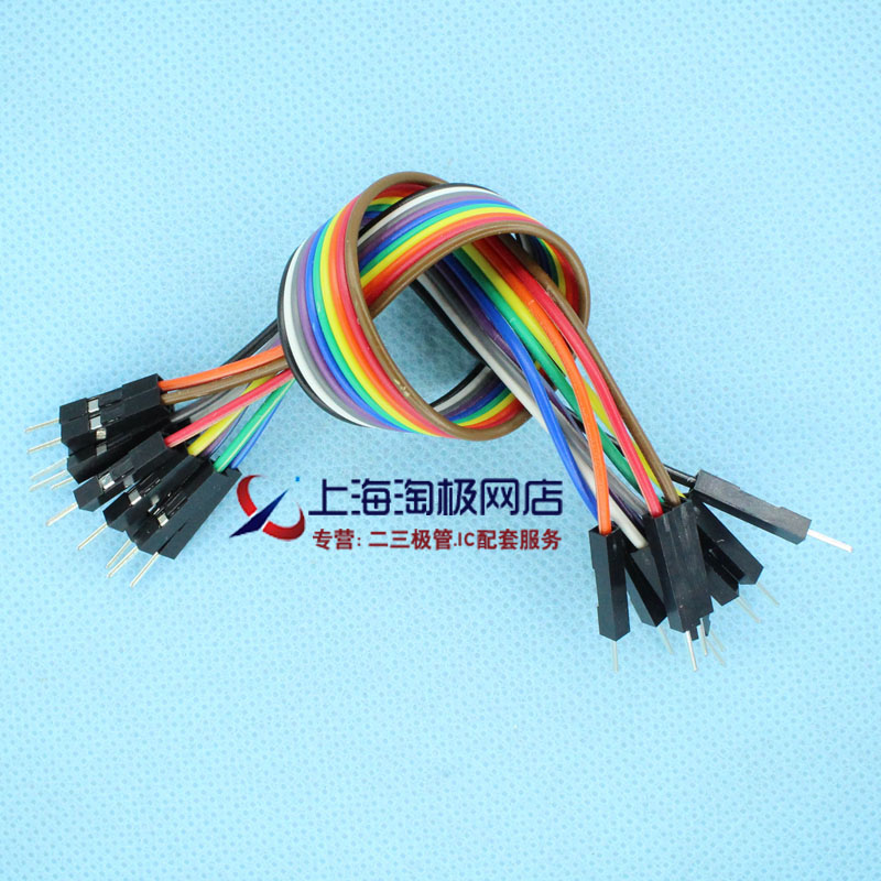 DuPont Line Revolution Public Double Male Head 1P Rubber Shell 12 Shares DuPont Wire Transfer Line Length 20CM 10 Kings