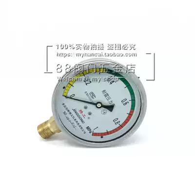 YN-100 0-1 0 1 6 2 5MPa earthquake-resistant pressure gauge Shock-proof seismic pressure gauge 