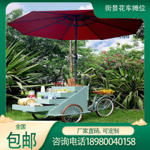 Internet celebrities riding three-wheeled bicycles street scenes mobile fruit and food exhibition displays milk tea drinks and coffee carts