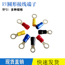 Guangdong Shipping O-type Insulation Cold Press Wire Ear End Head RV1 25 2-4 3 5-5 RV 5-6 Wiring Subs