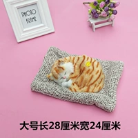 Вильвета большая спящая кошка желтый бар