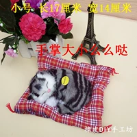 Маленький спящий кот серый