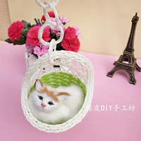 Зеленый кот зеленый