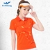 Mùa hè ve áo thể thao Áo thun nữ tay ngắn Jiamusi cỡ lớn nhanh khô trung niên áo sơ mi polo mua quần áo - Áo phông thể thao áo thun thể thao nữ Áo phông thể thao