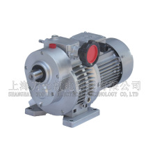 Shanghai Wanshang Electromechanical Technology Co. Ltd. MB07-Y0 75-C5 infinitely variable speed MBW15 transmission machine