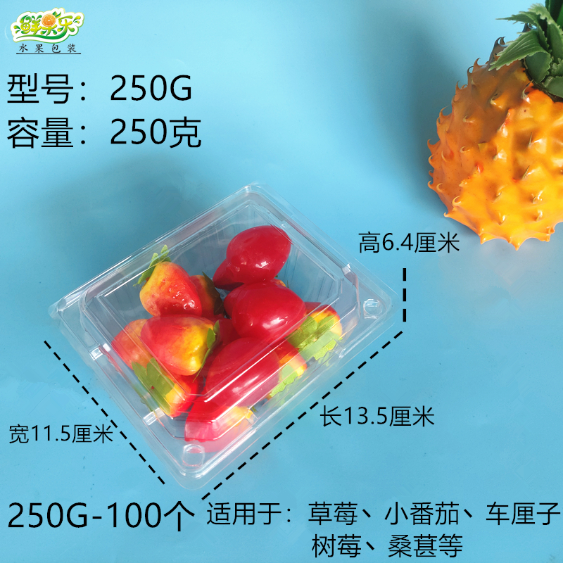 Half catty with vent hole square blister box 250g disposable fruit strawberry plastic case