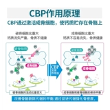培芝 Кость ияджиан CBP Высокий кальциевый молочный порошок порошок кость в средне