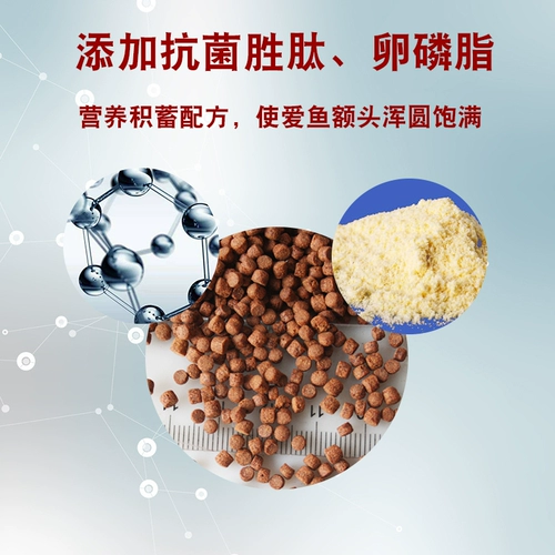 Тайвань Хайфенгао Подарки подарки с красной кровавой попугай