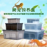 Сумасшедшая скалолазаная коробка для животных ящерицы Spider Lizard Scorpion Horn Turtle Snail Pet Snake Box