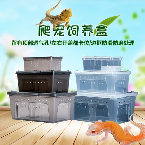 Сумасшедшая скалолазаная коробка для животных ящерицы Spider Lizard Scorpion Horn Turtle Snail Pet Snake Box
